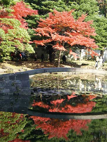 091128h.jpg