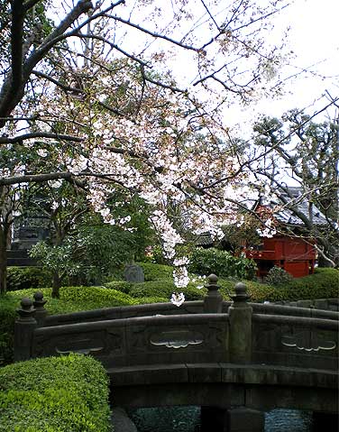 20090328f.jpg