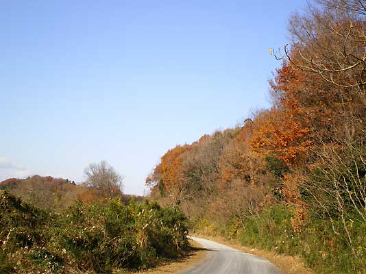 20111215i.jpg