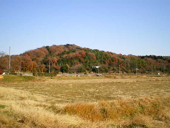 20111215p.jpg