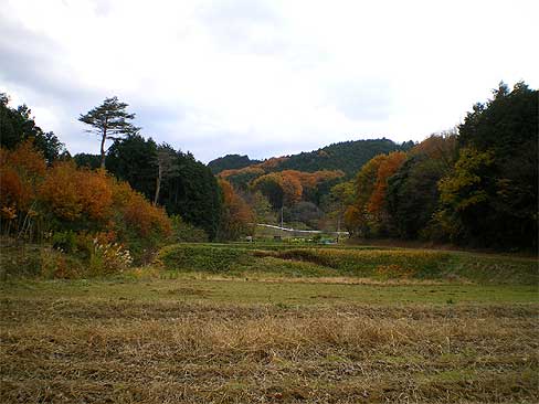 ranzan091128h.jpg