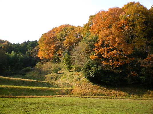 ranzan091129n.jpg
