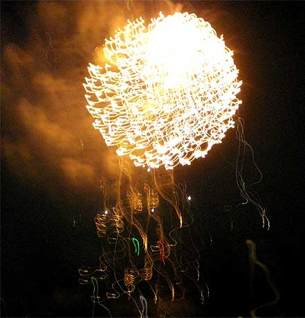 tigahababi0808m.jpg