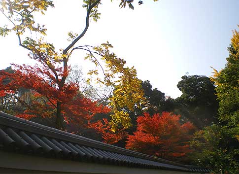 091128a.jpg
