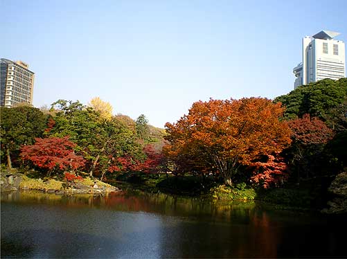 091128d.jpg