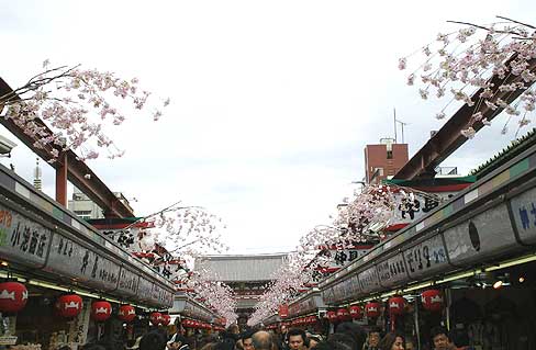 20090328d.jpg