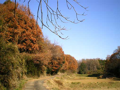 20111215e.jpg