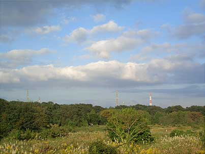 秋空