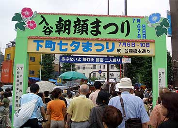 入谷朝顔市1
