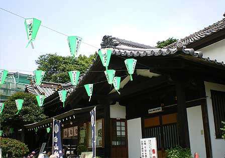 bunkyoajisai1.jpg