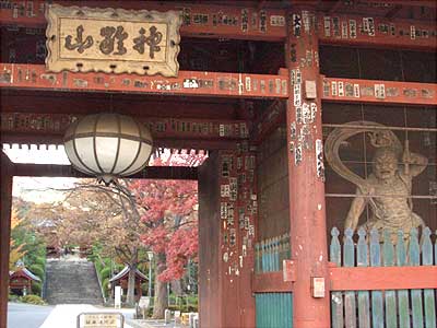 護国寺の門、仁王像