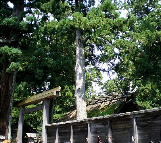 isejinngu3.jpg