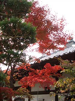 長谷寺