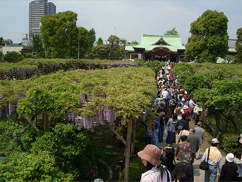 kameido270429a.jpg