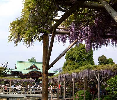 kameido270429g.jpg