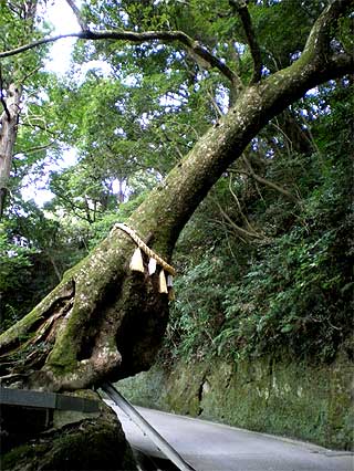 kasamorikannon1.jpg