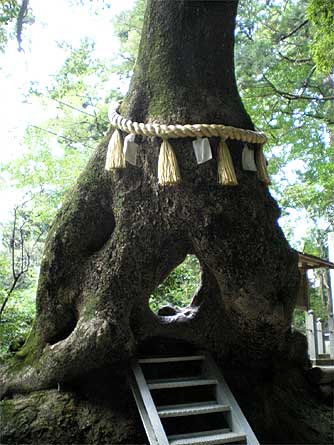 kasamorikannon2.jpg