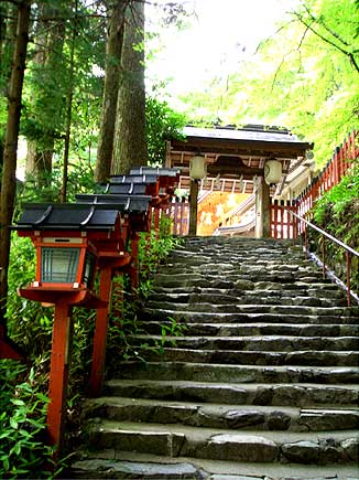 kifune8.jpg
