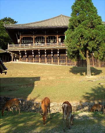 nara21toudaiji.jpg