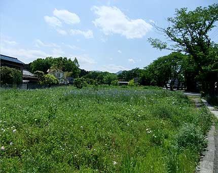 ogawa100515x.jpg