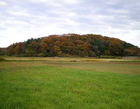 ranzan091128a.jpg
