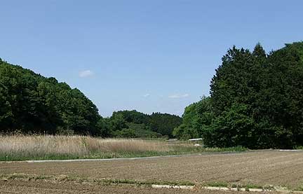 ranzan100515c.jpg