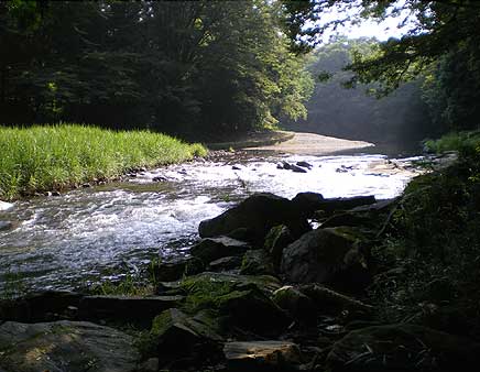 ranzan200807126.jpg