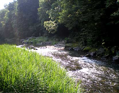 ranzan200807128.jpg