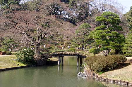 六義園 庭園