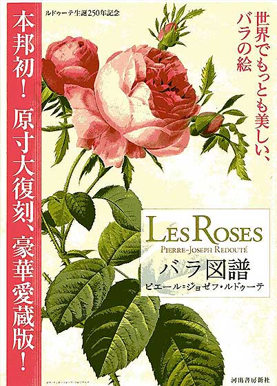 rosezufu.jpg