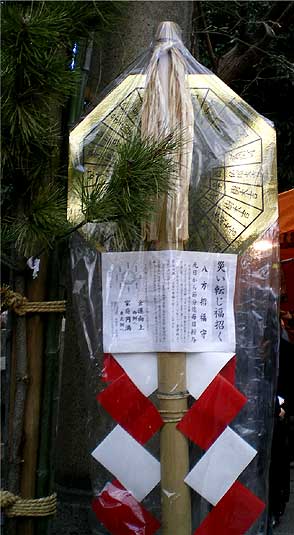 tomioka20082.jpg