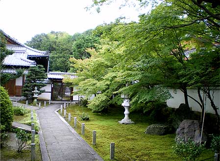 toufukuji20090721c.jpg