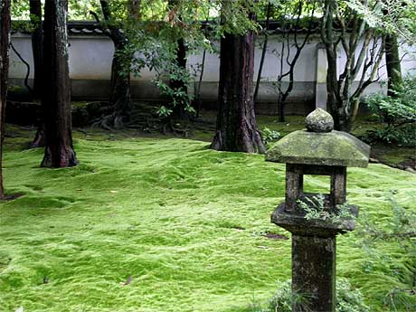 toufukuji20090721d.jpg