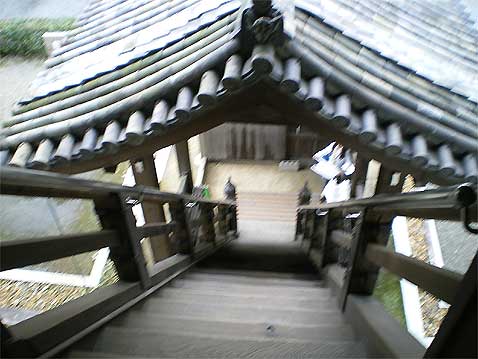 toufukuji20090721n.jpg