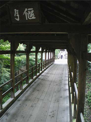 toufukuji20090721w.jpg