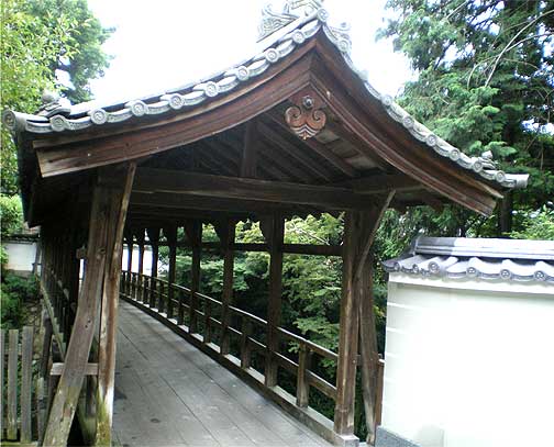 toufukuji20090721x.jpg