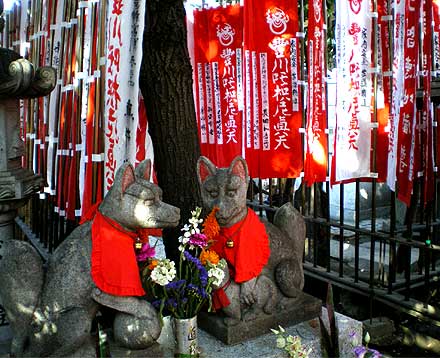 toyo20083.jpg