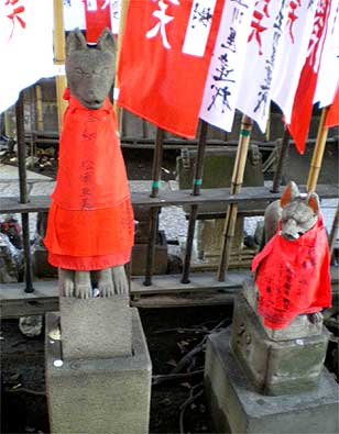 toyo20084.jpg