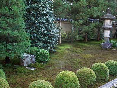 大徳寺