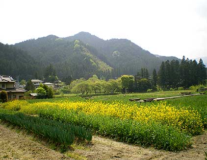 jikouji19.jpg