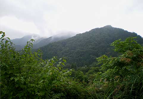 nikko0905a.jpg