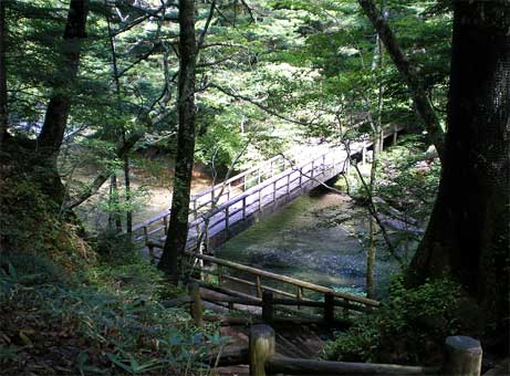 nikko0905e.jpg
