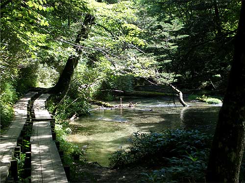 nikko0905f.jpg