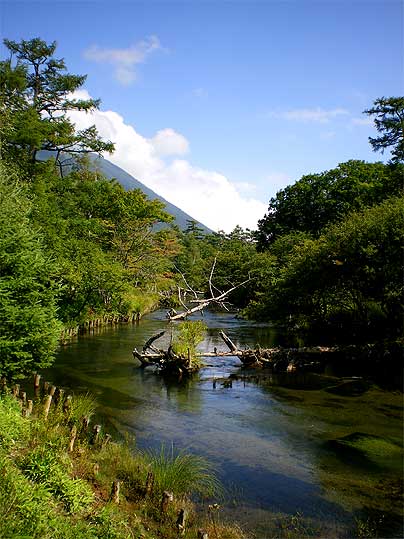 nikko0905o.jpg