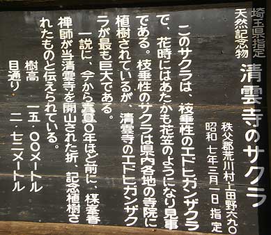 seiunji200804c.jpg