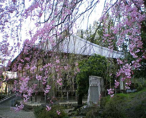 seiunji200804e.jpg